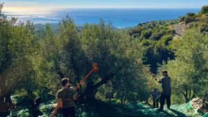 Some clear days we can see to Africa