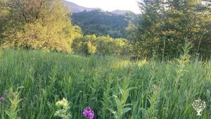 A peaceful refuge in nature, with sustainable accommodation, activities and care for the environment