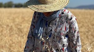 Permaculture organic farm