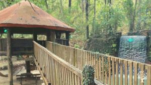 An Eco-Friendly SPA located on an organic farm since 1982.