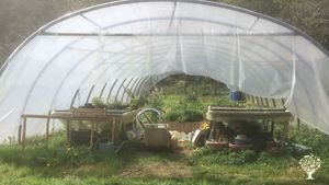 Production de fleurs, potager, chevaux