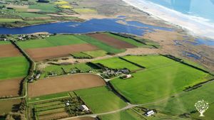 Ferme biologique au coeur de la baie d'Audierne. Plantes aromatiques et médicinales PPAM.