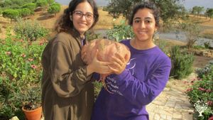 Nice sweet potato from the garden