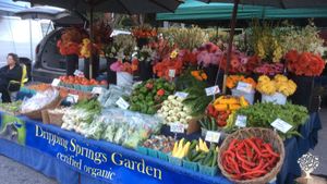 Organic market garden in the heart of the Arkansas Ozark Mountains