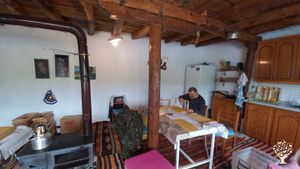 Arıcılık ve arı ürünleri ile doğal ürünler