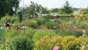 Kräutergärtnerei mit Schaugarten