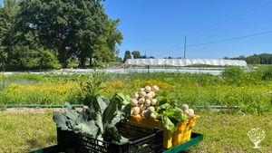 Terre agricole de 1.5 hectare cultivée sur 0,5 hectare. Culture maraîchère et plantes médicinales