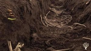 Certified family farm growing 7000 sea buckthorn bushes, rhubarb and asparagus with organic methods.