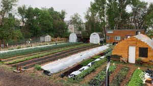 2 acre urban farm on the Colorado front range that provides opportunities for the local community