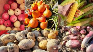 Apples, pumpkins, corn, potatoes and beetroots from our garden. :)