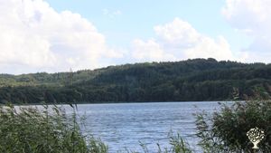 Family farm:  We are a small organic farm, which currently only produces hay and vegetables.