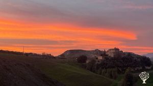 Azienda Agricola a conduzione familiare