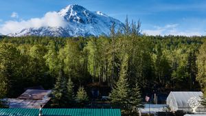 We are an off-grid, small scale homestead farm located in the beautiful Matanuska Valley in Alaska.