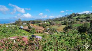 A farm with big fruit and veggie garden, some animals, almost off grid. We host guests and events.