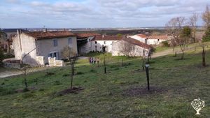 Le verger et l'habitation