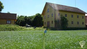 Constructing a Greenhouse, Crafting a Sauna & Brewing Rhubarb Wine