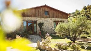 Azienda agricola biologica nelle colline marchigiane che produce vino di Visciola e olio