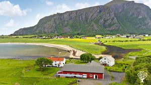 Beach and amazing nature! Veggies, eggs, wood, permaculture, ART