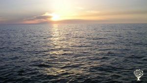 Market Garden, Mixed Farm