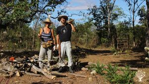 Agroecologia, Arte e Cura | Sistemas Agroflorestais e Pecuária Regenerativa