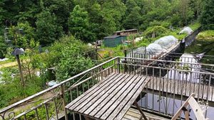 Small holding - organic vegetable garden with fruit tree nursery