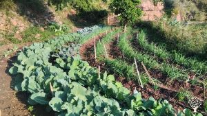 Comunidad Autosostenible, antigua aldea morisca en medio de las montañas