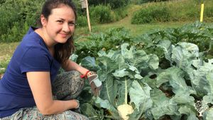 CSA Vegetable Farm, Food Forest,  K-12 Field Trips, Family Farm Tours