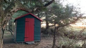 Beautiful, woodland, compost loo