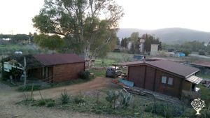 Azienda agricola biologica non certificata