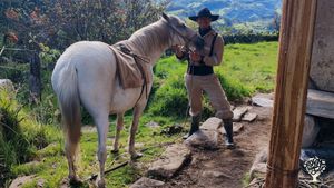 Family home and garden - rural