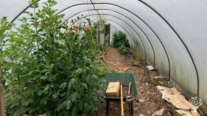 Small mixed farm and woodland on the edge of the Black Mountains, growing food and coppicing