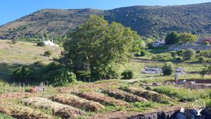 Ferme au sein d'un écolieu