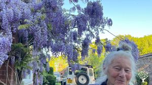 Home and developing small holding in the South Downs National Park in East Sussex