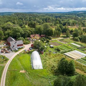 Ylva
