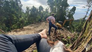 Eco Village / Artist in Residence / Free spaces