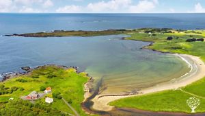Beach and amazing nature! Veggies, eggs, wood, permaculture, ART