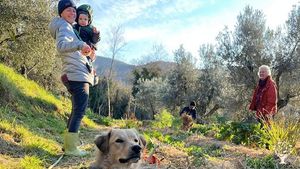 Casa familiare e giardino - rurale, Frutteto, Olivi