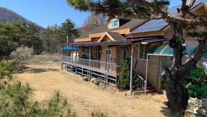 "Help Wanted"<JN_136> 유기 전환 중인 유럽종 포도원/A European Grape Vineyard in Organic Transition