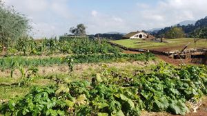 Ecological finca with veggies and fruit garden, animals, events, retreats and visits