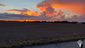 Exotic tropical farm located 10 minutes from Everglades National Park