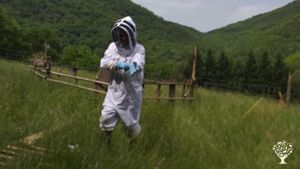 Petite ferme diversifiée, en marche vers l'autonomie, activités artistiques et botaniques.