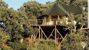 Off-Grid Farm in Alentejo