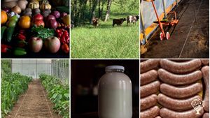 Sustainable, Year-Round Membership Farm Raising Beef, Pork, Dairy, Chicken, Vegetables, Fruits,