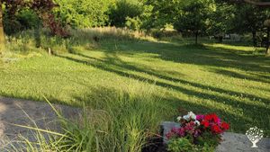 An Oasis in the Heart of Istanbul: Embracing Sustainability and Nature