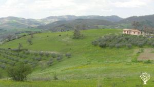 Fattoria Famigliare alle Pendici del Monte Subasio