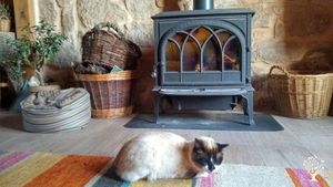 Sushi in the sitting room