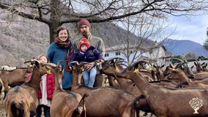 Destination agrotouristique, Ferme d'élevage de bétail, Ferme mixte, Ferme, Ferme familiale