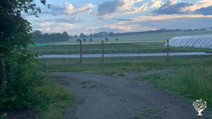 Small scale organic vegtable farm
