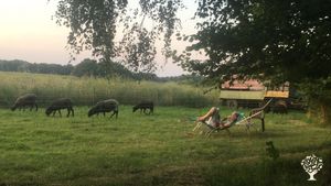 Camping-Area mit unseren "Mäh-Robotern" ;)