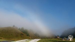 Small-scale diversified farm in western NC growing broad spectrum of veggies and raising livestock